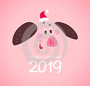 Vector flat Merry Christmas poster design with smiling pig face in Santa hat and text congratulation isolated on pink background.