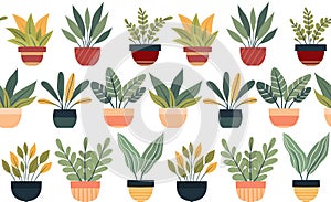 Vector flat pattern with house plants in various pots on a white background. Hobby greenhouse. Texture with illustration of
