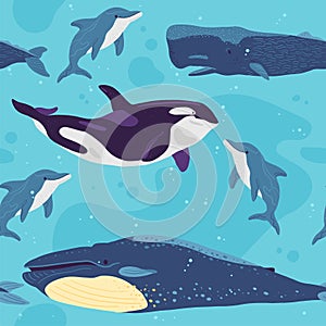 Vector flat seamless pattern with hand drawn marine animals, whale, dolphin, water  on white background. photo