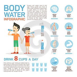 Vector flat style of body water infographic concept. Concept of drinking water, healthy lifestyle. Bottle brain body