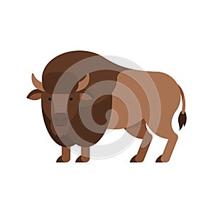 Vector flat style illustration of aurochs.