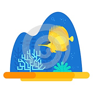 Vector flat style illustration of coralreef.