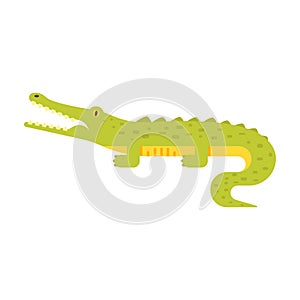 Vector flat style illustration of crocodile.