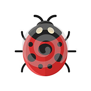 Vector flat style illustration of ladybug.