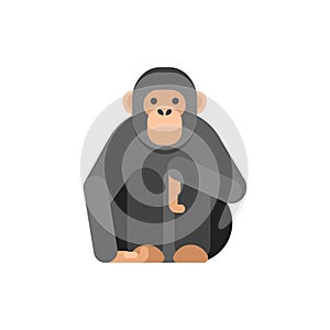 Vector flat style illustration of monkey.
