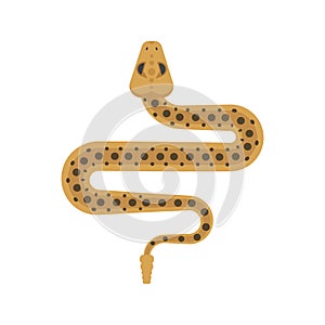 Vector flat style illustration of sidewinder snake