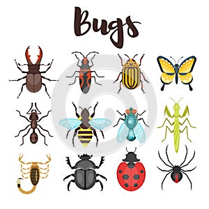 Vector flat style set of various colorful bugs.