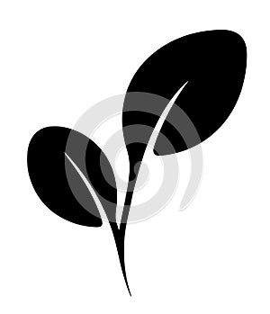 Vector flat tea leaf. Vegan food stylize element. Springtime logo design photo