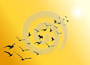 Vector flock of flying birds towards bright sun