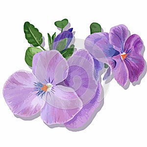 Vector floral art. Pansy flowers, violets - buds and leaves. Collage of flowers and leaves. Use printed materials, signs, objects