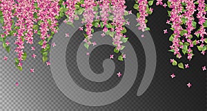 Pink Hanging Flowers photo