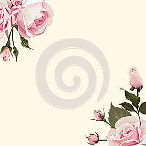 Vector Floral background with pink roses on the conners