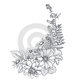 Vector floral bouquet, composition with black and white hand drawn herbs and wildflowers