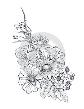 Vector floral bouquet, composition with black and white hand drawn herbs and wildflowers