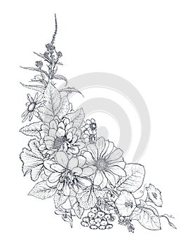 Vector floral bouquet, composition with black and white hand drawn herbs and wildflowers