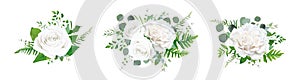 Vector floral bouquet design: garden ivory white powder pale peony Rose, Eucalyptus branch, greenery forest fern leaves. Wedding