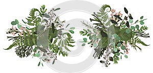 Vector floral bouquet design set, green forest leaf, brunia, fern, branches boxwood, buxus, eucalyptus and chamaelaucium.