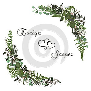 Vector floral bouquet design set, green forest leaf, brunia, fern, branches boxwood, buxus, eucalyptus and chamaelaucium.
