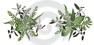 Vector floral bouquet design set, green forest leaf, fern, branches boxwood, buxus, eucalyptus. Watercolor style, herbs. Wedding