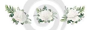 Vector floral bouquet set of garden white powder peony, Rose flo