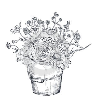 Vector floral composition with black and white hand drawn herbs and wildflowers