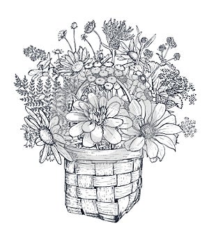 Vector floral composition with black and white hand drawn herbs and wildflowers