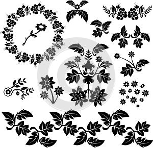 Vector floral design elements