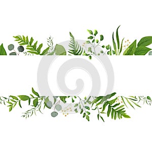 Vector floral greenery card design: Forest fern frond Eucalyptus