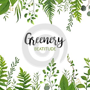 Vector floral greenery card design: Forest fern frond, Eucalyptus branch green leaves foliage herb greenery berry frame border. W