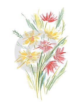 Vector Floral of Painted Colorful Flowers Watercolor