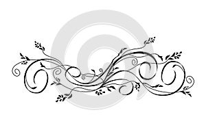 Vector floral scroll ornament