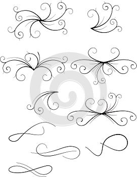 Vector floral scroll ornament