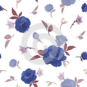 Vector floral seamless pattern with blue roses, and chrysanthemums