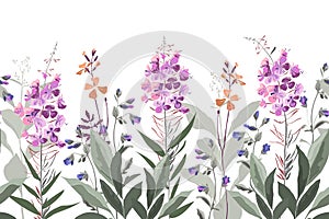 Vector floral seamless pattern, border with willow-herb.