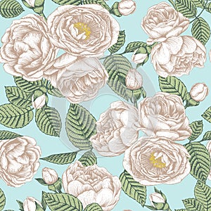 Vector floral seamless pattern with bouquets of hand drawn white roses