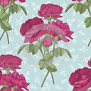 Vector floral seamless pattern with bouquets of roses