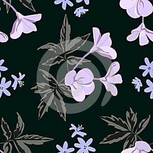 Vector floral seamless pattern on a dark background of small wildflowers