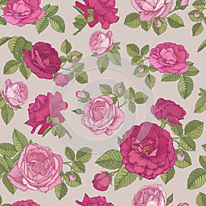 Vector floral seamless pattern with hand drawn red and pink roses on beige background