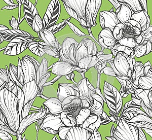 Vector floral seamless pattern of magnolia flowers and branches.