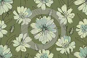 Vector floral seamless pattern. Succory, chicory flowers isolated on a green background.