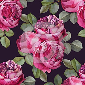 Vector floral seamless pattern with watercolor pink roses. photo