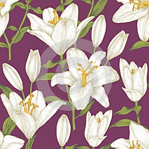 Vector floral seamless pattern with white lilies.