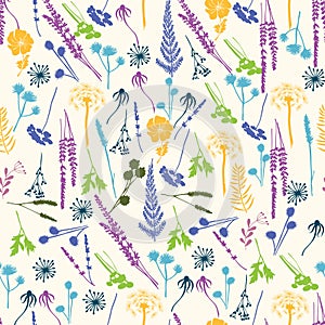 Vector floral seamless pattern with wild flowers