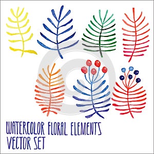 Vector floral set. Colorful floral collection with leaves and berries, drawing watercolor. Spring or summer design for invitation,