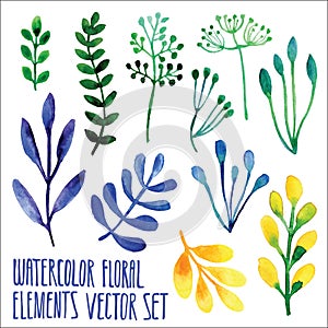 Vector floral set. Colorful floral collection with leaves, drawing watercolor. Spring or summer design for invitation, wedding or