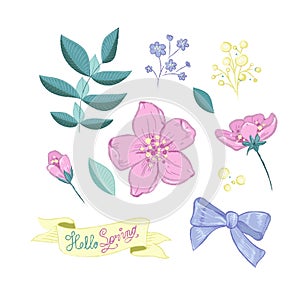 Vector floral set.Colorful purple floral collection with leaves and flowers,drawing watercolor.Colorful floral