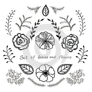 Vector floral set. Graphic collection with leaves and flowers, drawing elements.