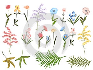 Vector floral set on white background