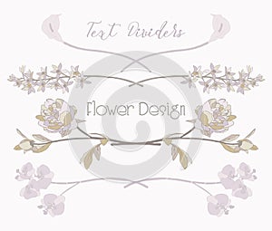 Vector Floral Text Dividers. Flower Design Elements