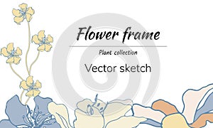 Vector floral text freim. Baner with delicate flowers for invitations and congratulations. Vector illustration